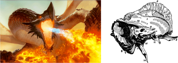 Dragons are cantankerous creatures, aren't they?