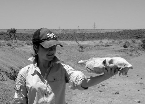 Horsing around in Jordan, Summer 2008