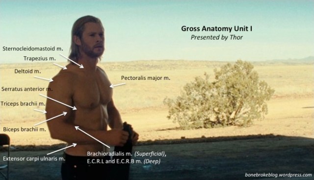 "You know, for a crazy homeless person... he's pretty cut"