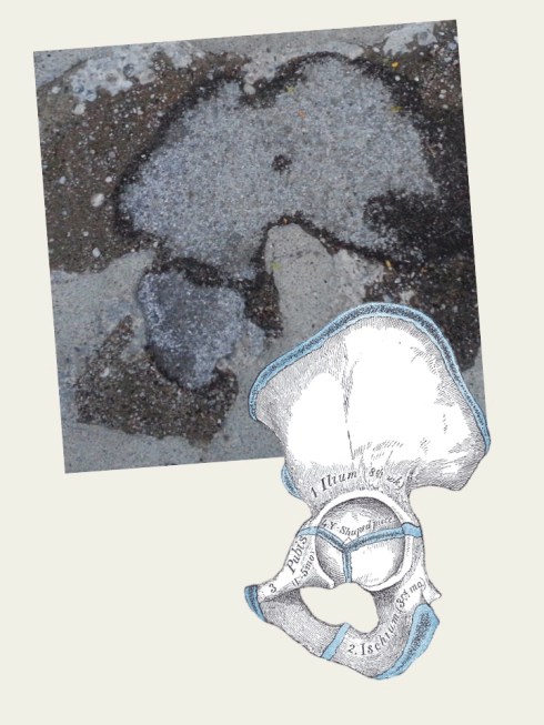 It may be that teaching for 6 hours a week is starting to addle my brain, but I definitely see an innominate.