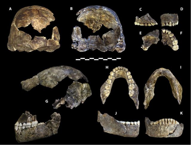 The Homo naledi holotype.