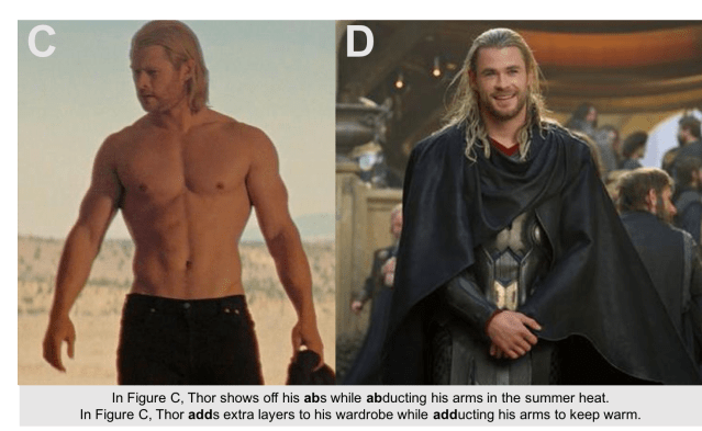 THOR, GOD OF ANATOMICAL MOVEMENTS 2