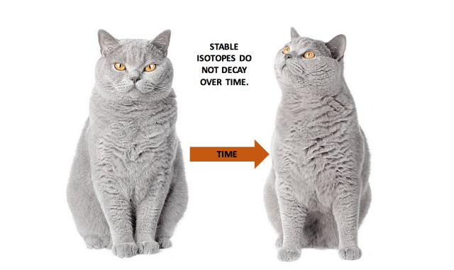 Fat cats remain stable over time