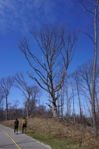 Anna and I training in Dexter.