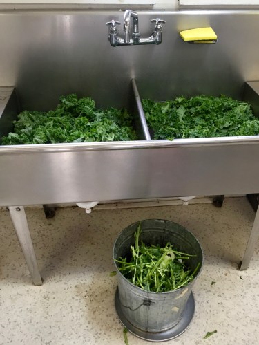 This, however, is my idea of hell.