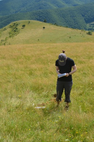 Expect more ridiculous-looking field ponytails next summer.